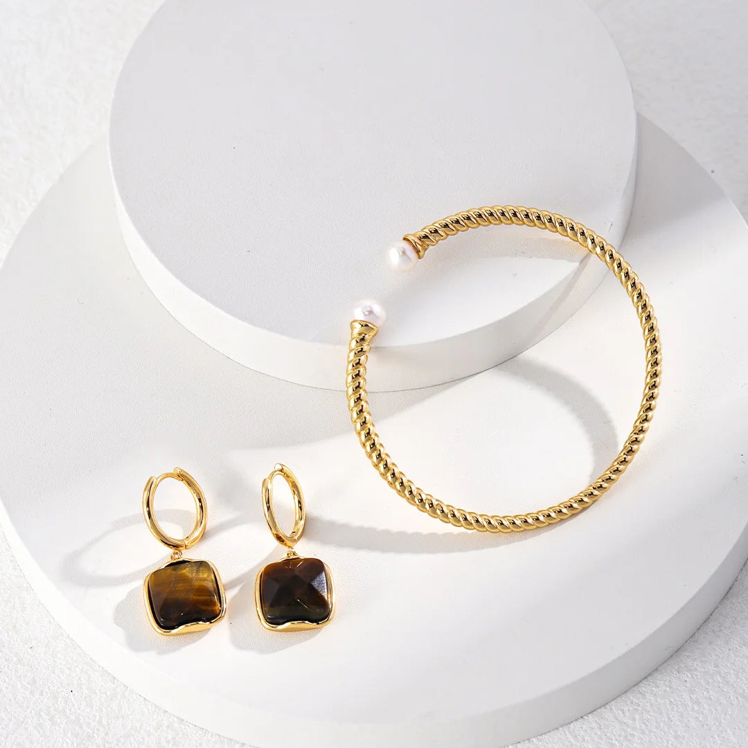 Natural Tiger Eye Stone Dangle Earrings